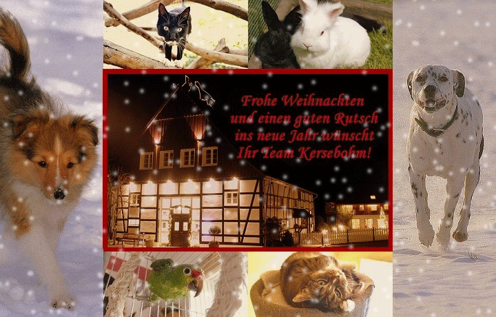 weihnachten team kersebohm luenen nrw dortmund