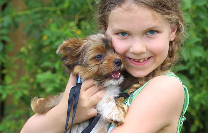 Ein Mädchen mit einem jungen Hund